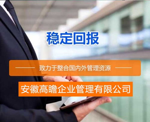 償債能力評(píng)級(jí)報(bào)告價(jià)格 償債能力評(píng)級(jí)報(bào)告 安徽高瞻公司 圖