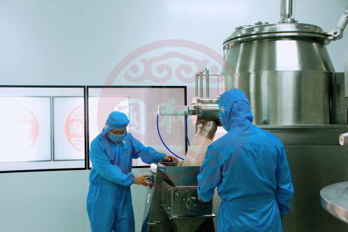 山東國和堂投資2000萬建立健康飲品生產(chǎn)線