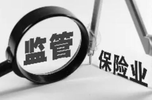 保險(xiǎn)資產(chǎn)管理公司的資產(chǎn)管理 角色、挑戰(zhàn)與發(fā)展趨勢(shì)